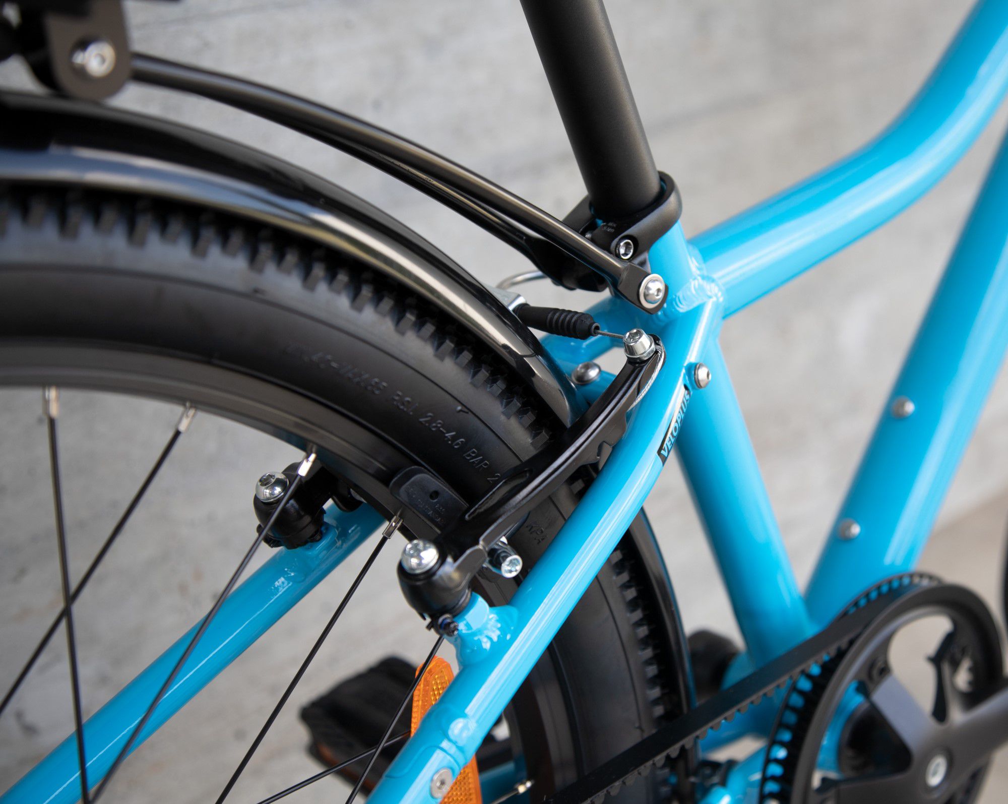 FLiZZi 24 RIEMEN EQ Kindervelo / blau / 24 ZOLL
