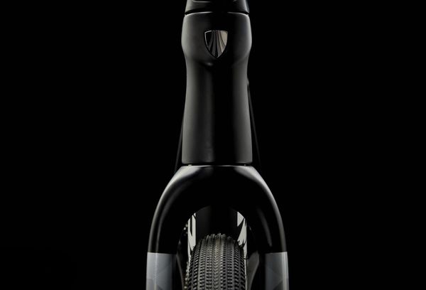 CHECKPOINT SL 7 AXS Gravelbike / matte deep smoke / 54 CM