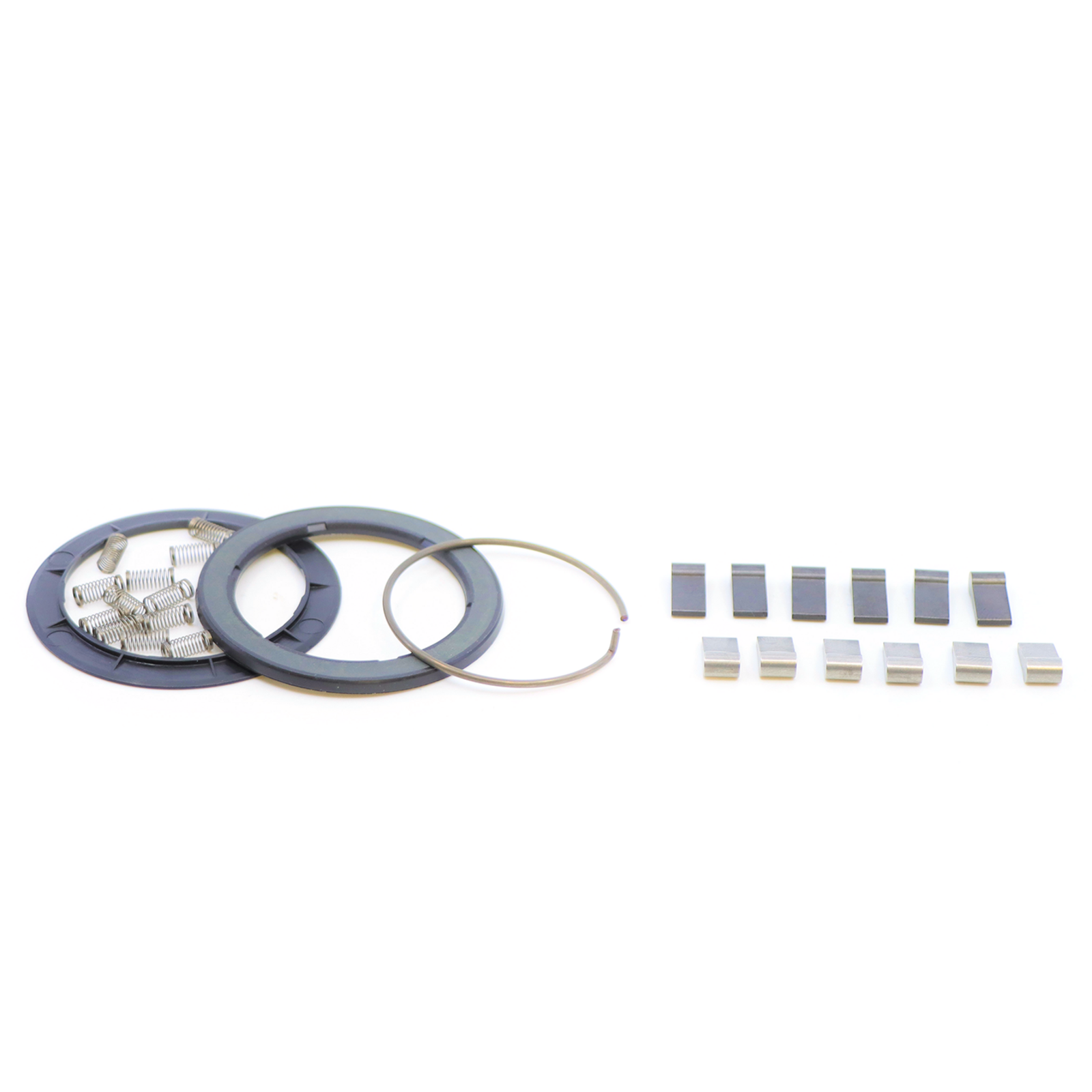Spring and pawl Set for Zipp ZM2 Hubs