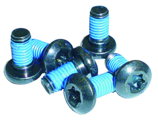 Rotor Bolt Kit T25 Steel Qty 6 / silver