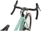 DIVERGE SPORT CARBON Gravelbike / gloss ca white sage oak black chrome clean / 58 CM