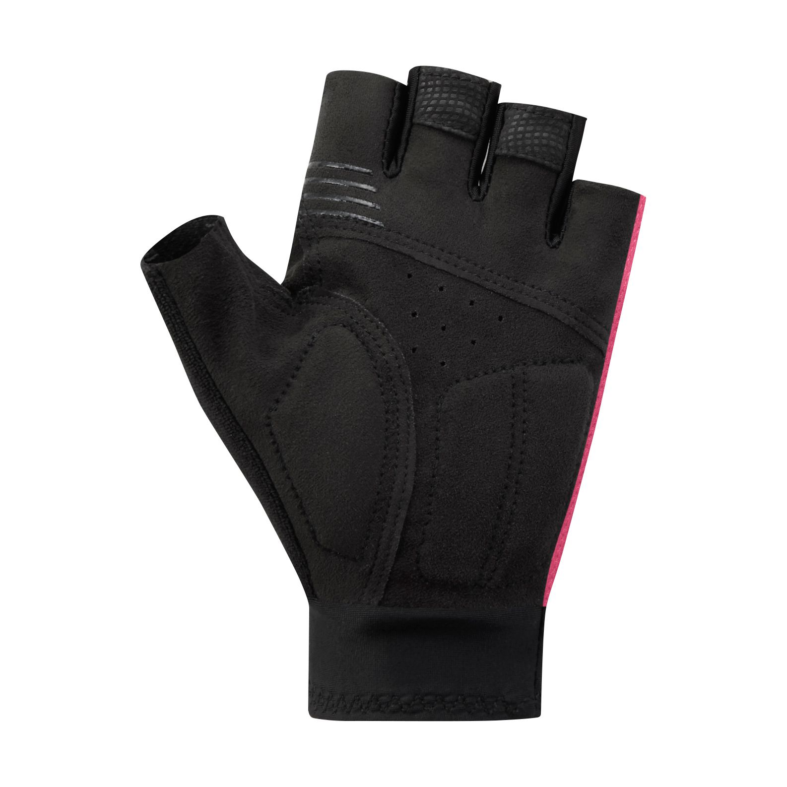 Women Explorer Gloves / red / S