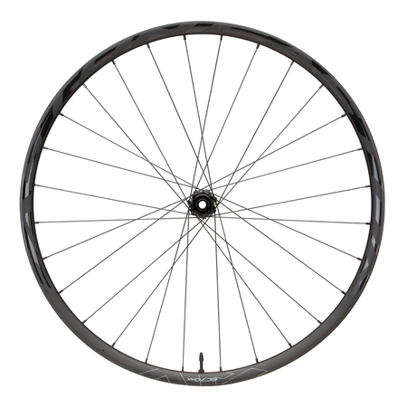 EC70 AX Road Gravel CLN Disc Wheel / gloss carbon / 700C/'12X100