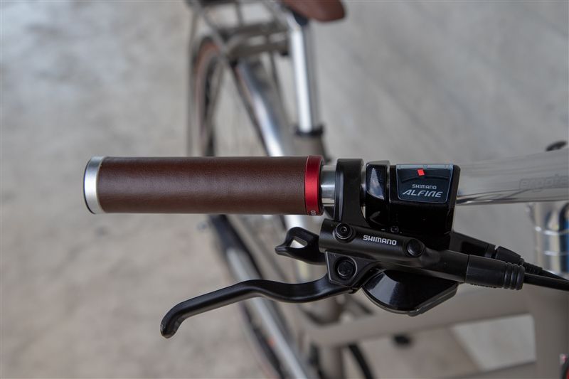 LAZY DAY GATES ALFINE 11 Wmn City- und Alltagsvelo / olive matt / 46 CM