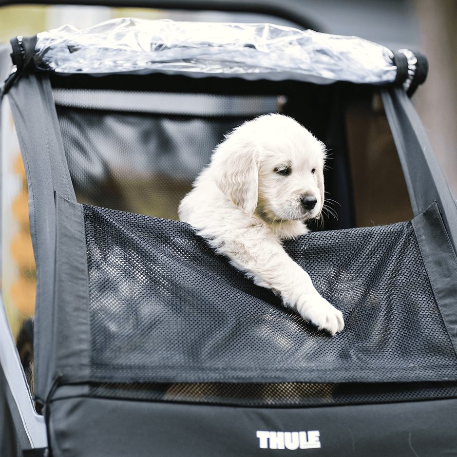 HUNDESET zu COURIER Anhänger / schwarz