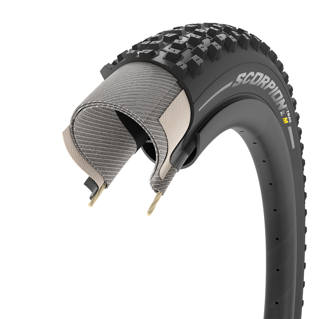 Scorpion Trail M ProWall / black / 29x2.40