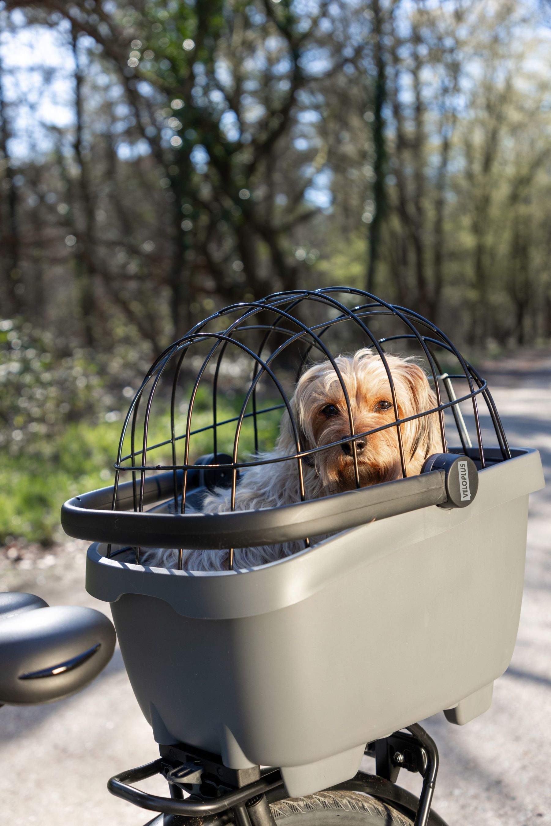 MULTITALENT Hundekorb-Erweiterung / schwarz