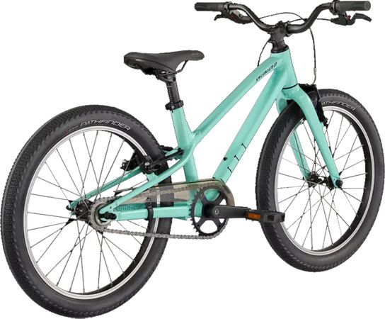 JETT 20 SINGLESPEED Kinder- und Jugendvelo / gloss oasis forest green / 20 ZOLL