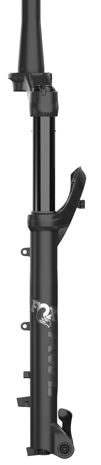 Federgabel Float AWL 29" Rail Sweep-Adj / matte black / 100 mm