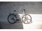 LAZY DAY GATES ALFINE 8 Men City- und Alltagsvelo / metall matt / 52 CM