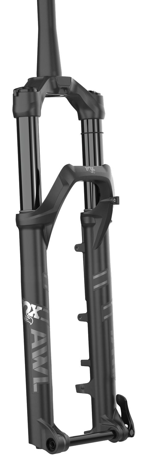 Federgabel Float AWL 29" Rail Sweep-Adj / matte black / 100 mm