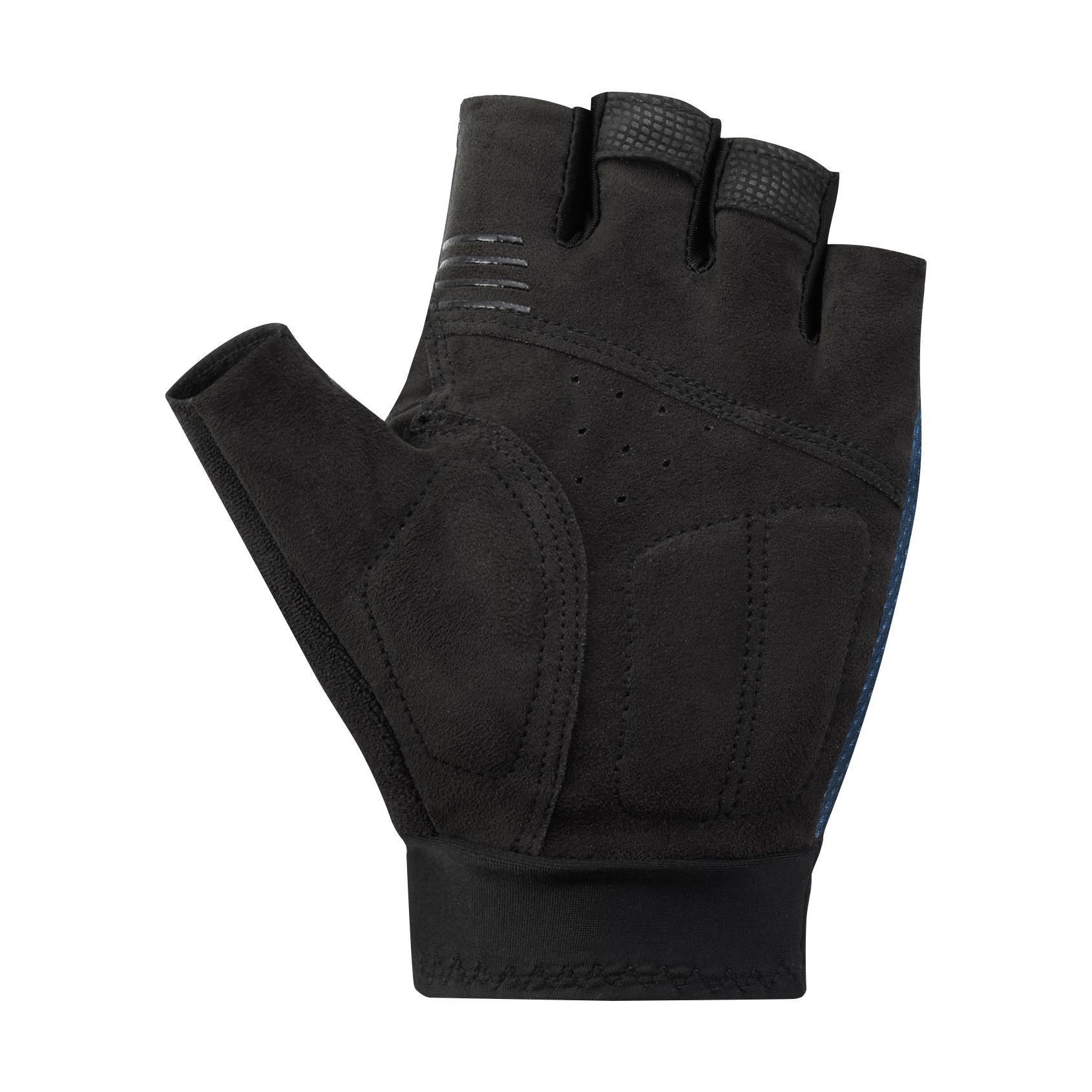Explorer Gloves / navy / XXL