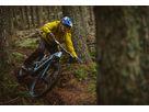 SHREDDA GRAVITY PRO EVO. TLR Reifen / 29" x 2.50, 64-622 REAR