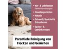 Bio-Chem Geruchs- und Fleckenentferner