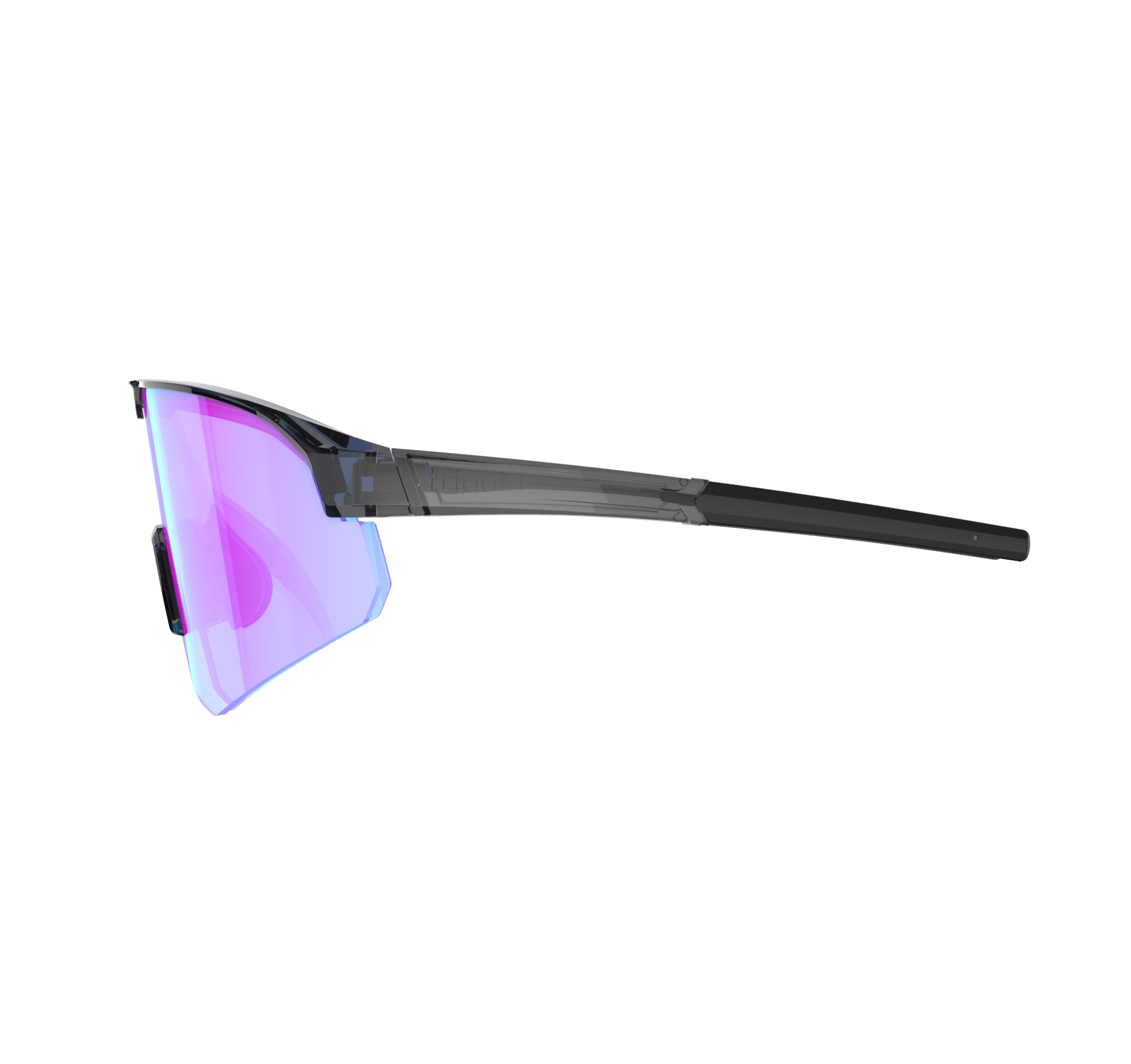 LAKE VICTORIA SMALL Sportbrille / shiny transp black/purple blue