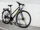 FX 2 DISC EQ STAGGER City- und Alltagsvelo / satin lithium grey / M