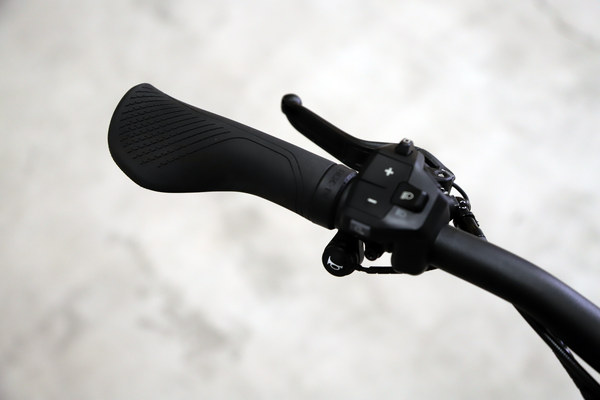 CHARGER5 PINION HS E-Bike 45km/h / Magnesium / 53 CM