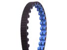 CDX Centertrack Riemen mit Nut / schwarz blau / 113 Zähne