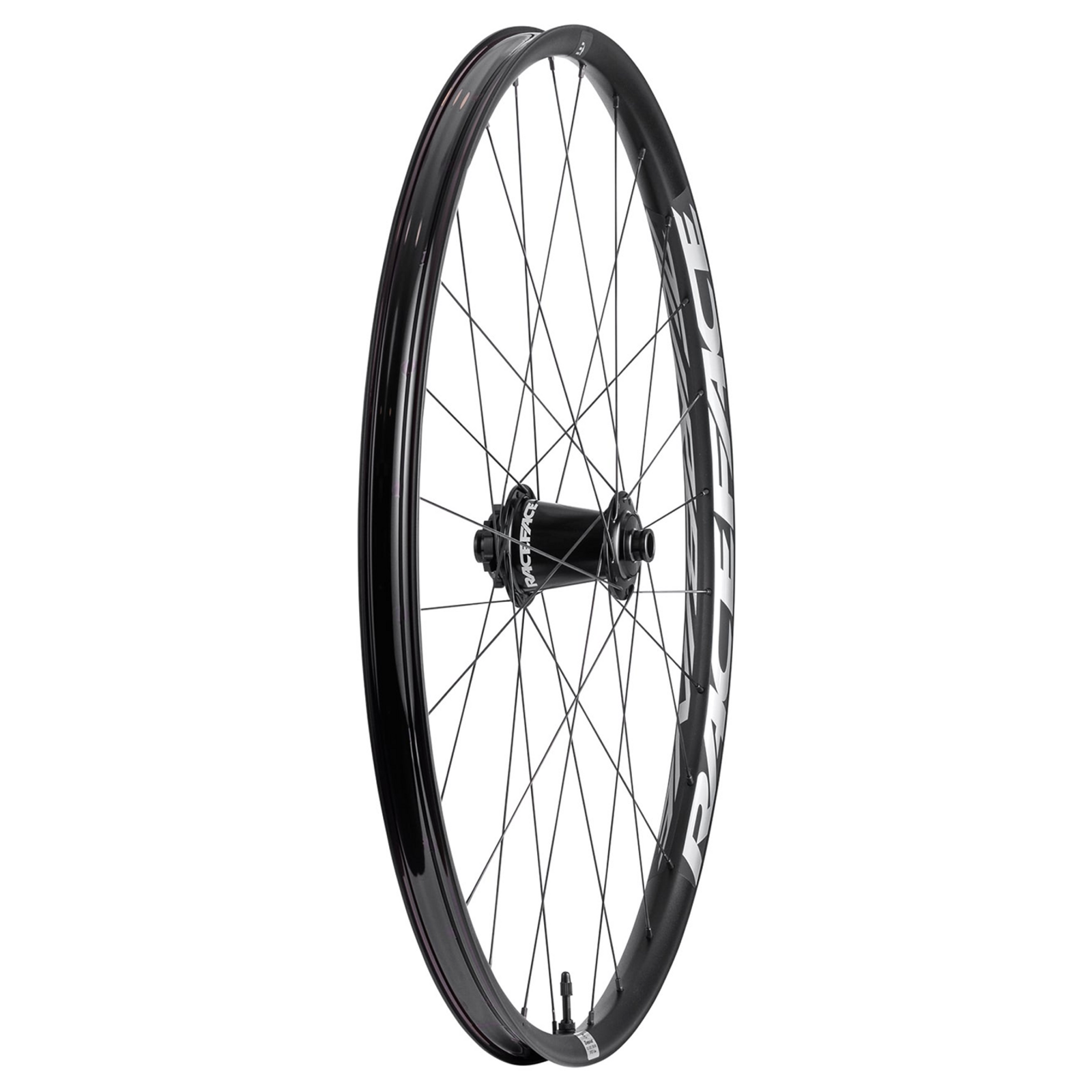 Turbine 30 ALU E-MTB CLN 6 Bolt Wheel V2 / black / 29"/15x110