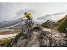 RAIL 9.5 GEN 4 E-MTB Fully / black olive / XL