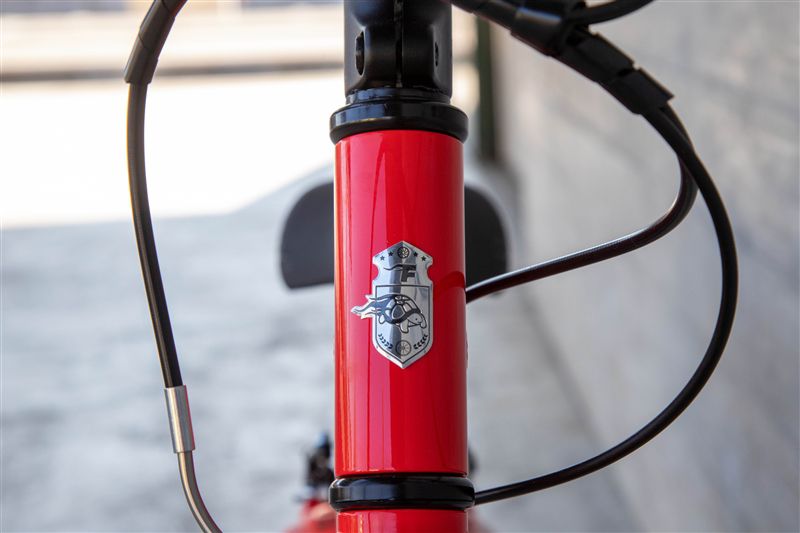 FLiZZi 20 RIEMEN Kindervelo / rot / 20 ZOLL