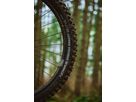 SHREDDA GRAVITY PRO EVO. TLR Reifen / 29" x 2.50, 64-622 REAR