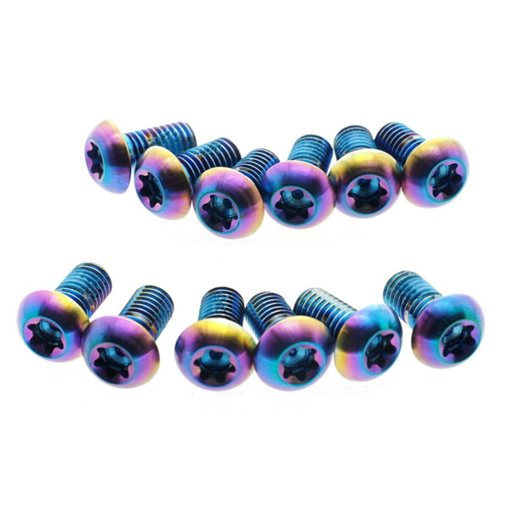 Rotor Bolt Kit T25 Titanium Qty 12 / rainbow