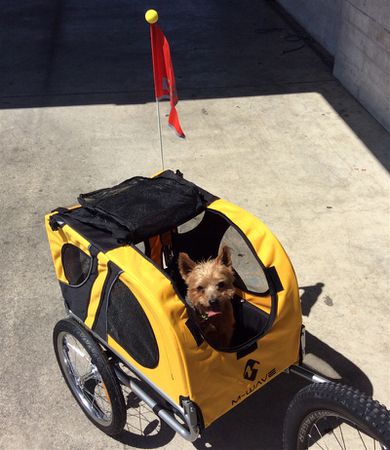 PET-RIDE Hundeanhänger / gelb