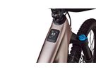 LEVO 4 COMP E-MTB / Satin Champagne / S2