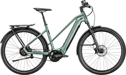 ENJOY GT 8 GOR E-City- und Alltagsvelo / D. Green gla. p. / 46cm