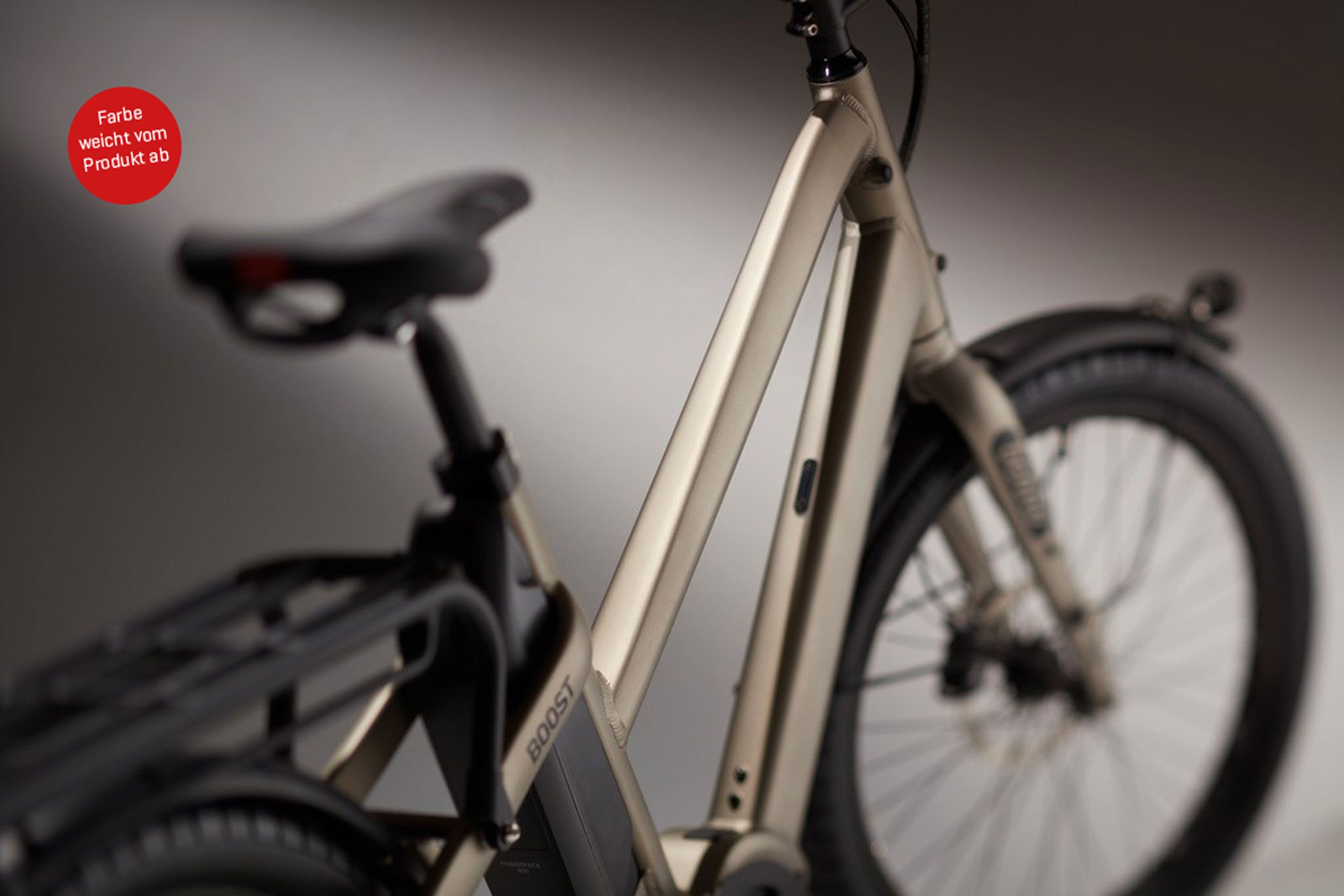 BOOST 10D CX Step Through E-Cargobikes 25km/h / wasabi green