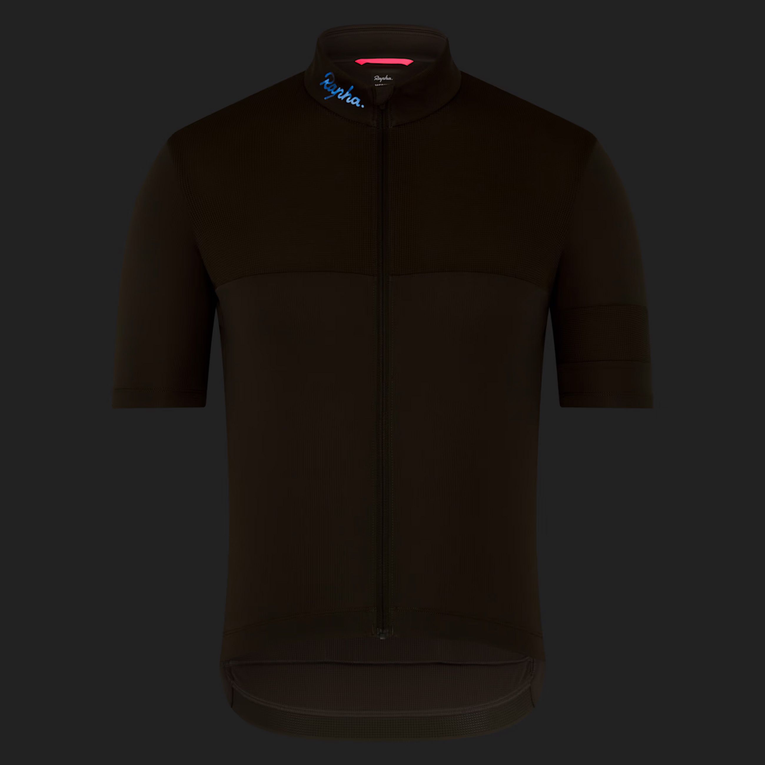 BREVET ELEMENT Herren-Kurzarmtrikot / kalamata/deep depths / M