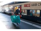 TRAVEL NANO Transporttasche / petrol / 180 x 92.5cm