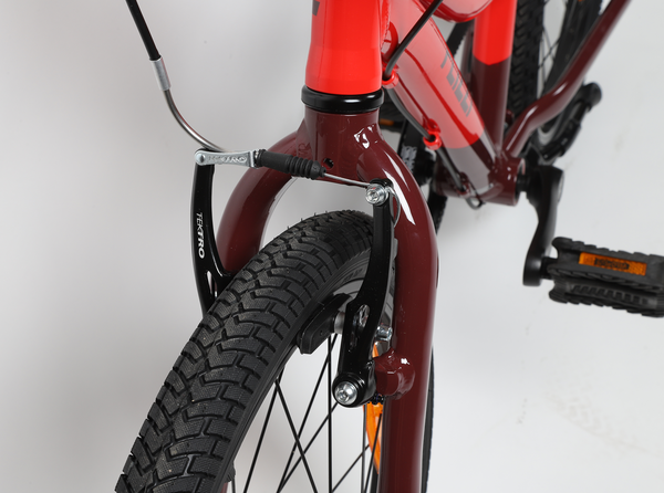 FLiZZi 20 RIEMEN Kindervelo / rot/dunkel / 20 ZOLL