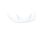 Register Visor / white/silver