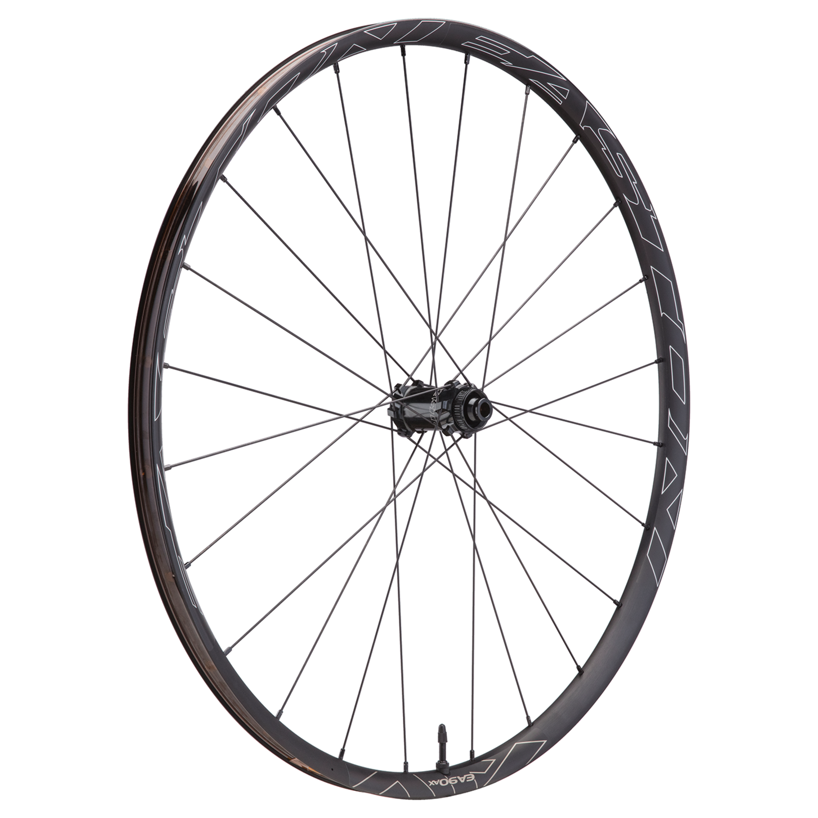 EA90 AX Road Gravel CLN Disc Wheel / matte black/anodize / 700C/'