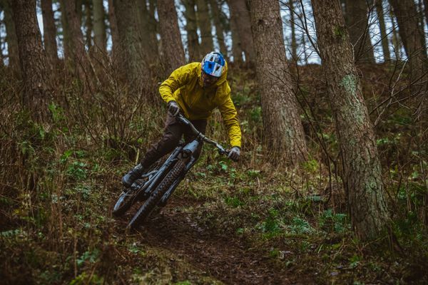 SHREDDA GRAVITY PRO EVO. TLR Reifen / 29" x 2.50, 64-622 REAR