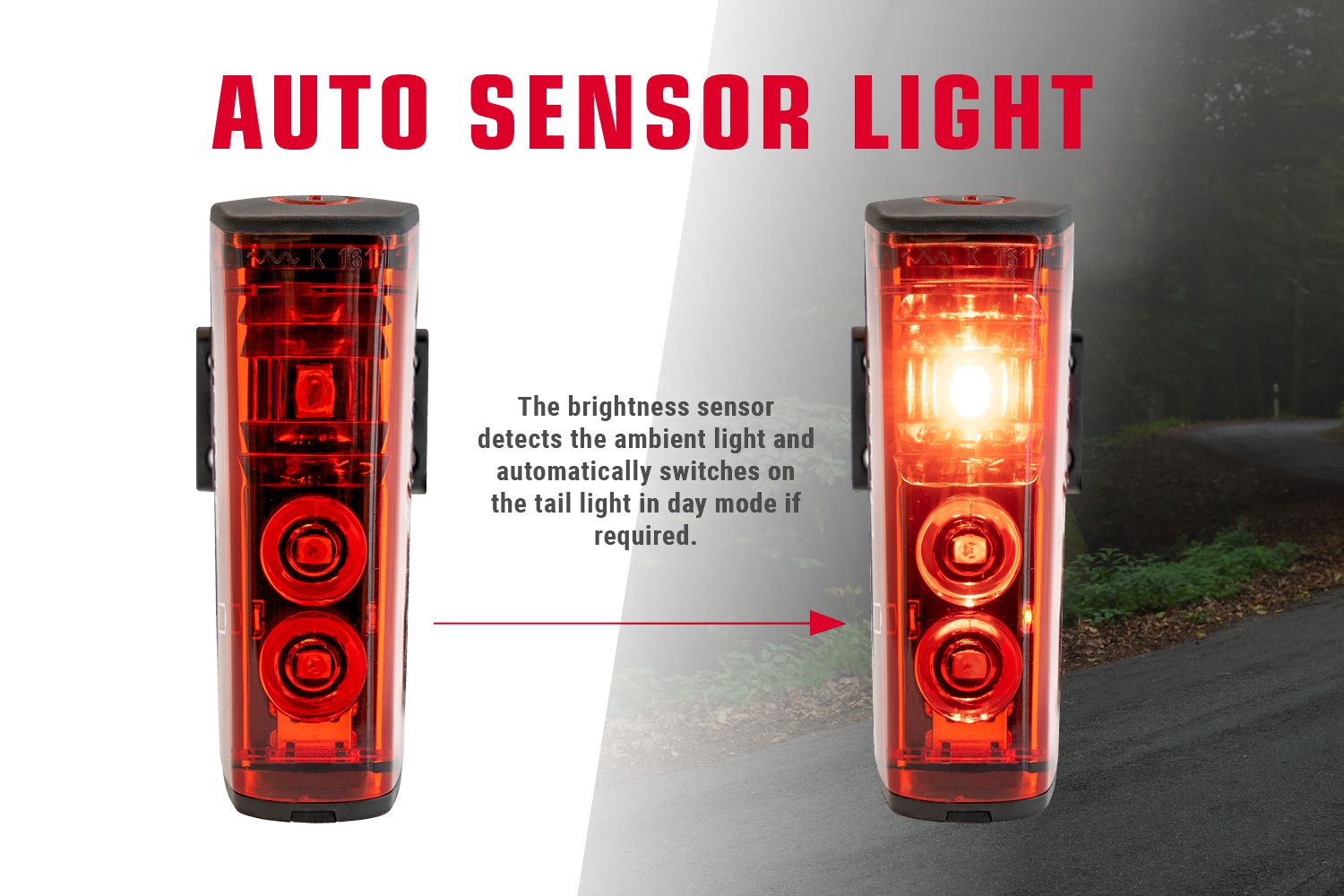 Sigma Rücklicht Blaze / schwarz