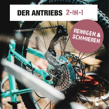 Bio-Chem Antriebsreiniger / Flasche, 750 ml