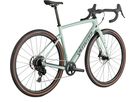 DIVERGE SPORT CARBON Gravelbike / gloss ca white sage oak black chrome clean / 58 CM
