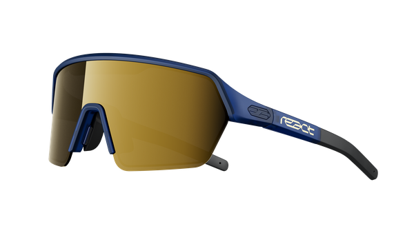 ERVO Sportbrille / gold blue
