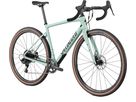 DIVERGE SPORT CARBON Gravelbike / gloss ca white sage oak black chrome clean / 58 CM