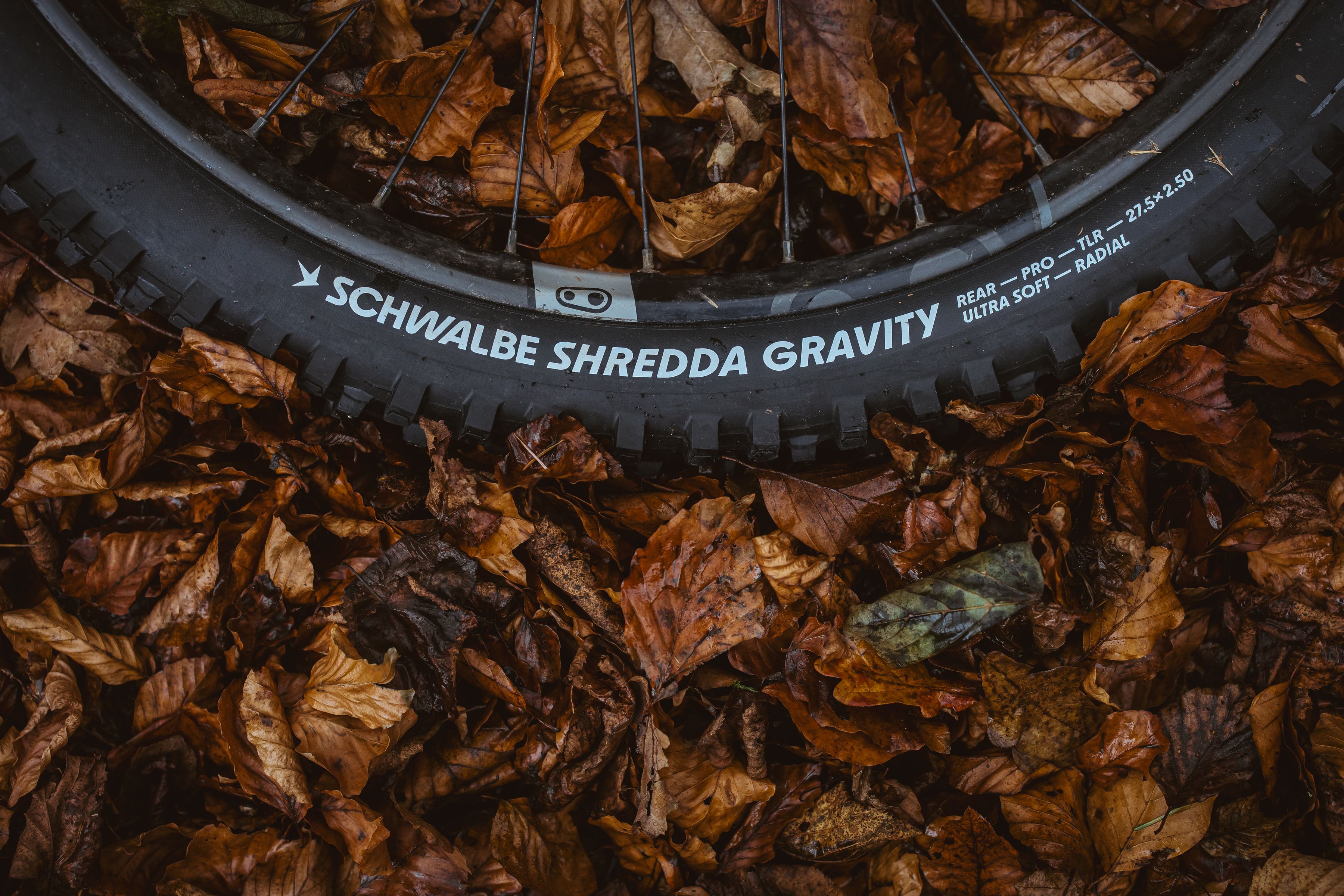 SHREDDA GRAVITY PRO EVO. TLR Reifen / 29" x 2.50, 64-622 REAR