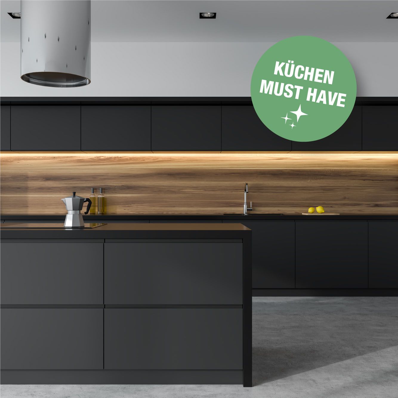 Bio-Chem Küchenreiniger