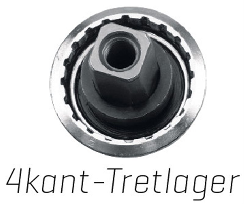 KURBELSCHRAUBEN M8x15mm für 4kant-Tretlager mit Staubkappe / silber schwarz