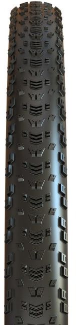 ASPEN TR EXO 120TPI Speed MTB-Reifen / schwarz / 29"x2.40, 61-622