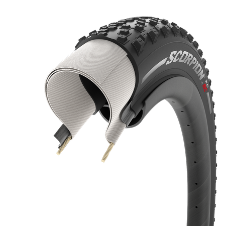 Scorpion XC RC Lite Team / black / 29x2.20
