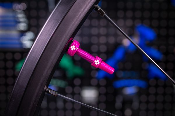 V2 Tubeless Ventil Kit / Pink / 44 mm