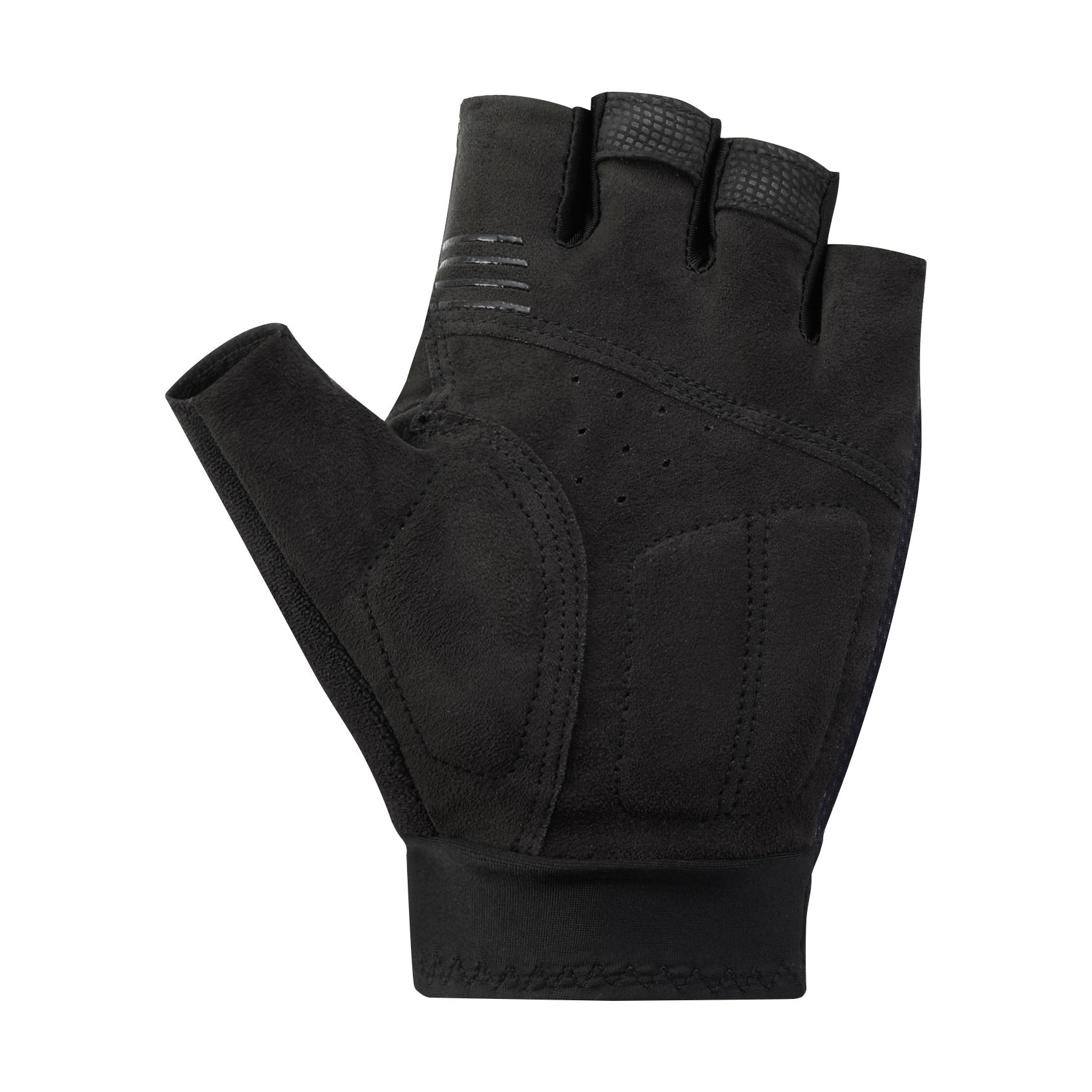 Explorer Gloves / black / XXL