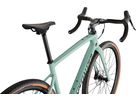 DIVERGE SPORT CARBON Gravelbike / gloss ca white sage oak black chrome clean / 58 CM